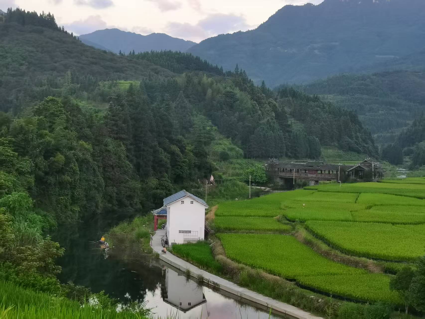 Picture of Village